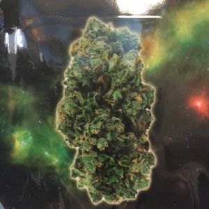 Meet your Posher, Dave